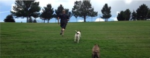 Hill sprints also gives the dogs a good workout as well :)